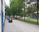 Weg op 1 oor, verlaagd groen en band